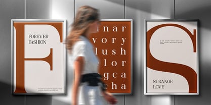 Norvele Font Poster 11