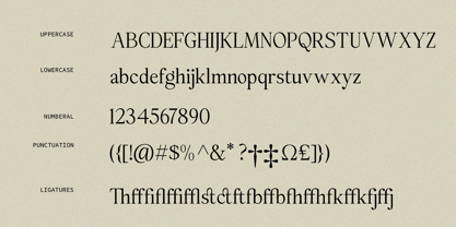 The Rosemide Font Poster 13