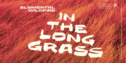 Proscenium Brush Font Poster 10