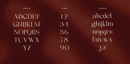 Velick Font Poster 8