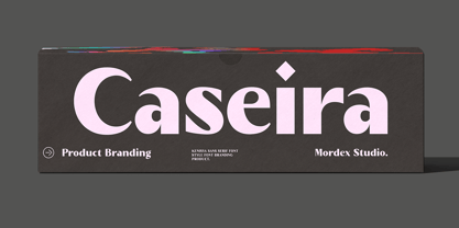 Kenisya Font Poster 3