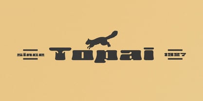 Mondigo Font Poster 4