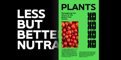 Nutra Font Poster 7