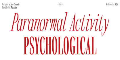 ACR Semi-Mono Font Poster 4