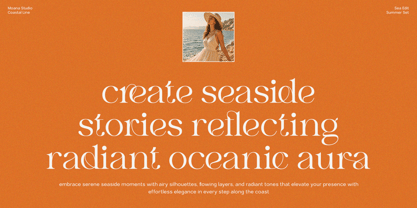 FL Abrasia Font Poster 3