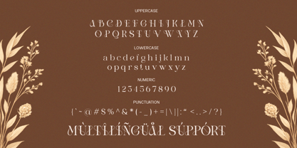 FL Abrasia Font Poster 9