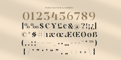 Regona Font Poster 11