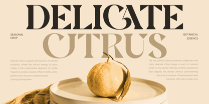 Regona Font Poster 5