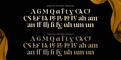 Regona Font Poster 12