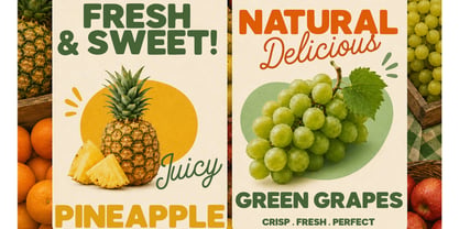 Briarhill Font Poster 4
