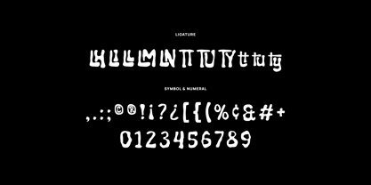 Drimelty Font Poster 7