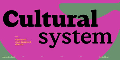 Autêntica Serif Font Poster 13