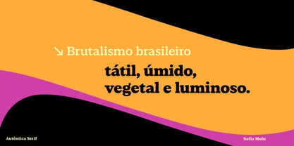 Autêntica Serif Font Poster 15