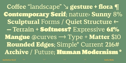 Autêntica Serif Font Poster 11