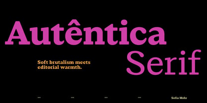 Autêntica Serif Font Poster 1