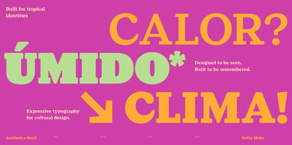 Autêntica Serif Font Poster 3