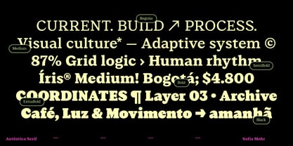 Autêntica Serif Font Poster 4