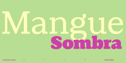 Autêntica Serif Font Poster 9