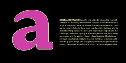 Autêntica Serif Font Poster 12