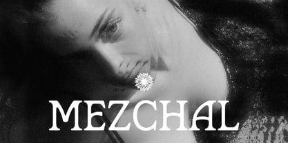Marzena Font Poster 4