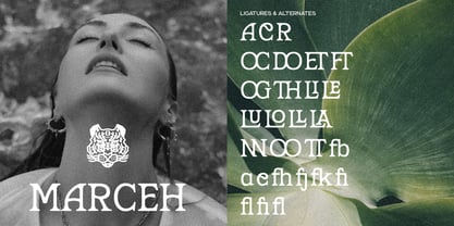 Marzena Font Poster 2