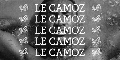 Marzena Font Poster 7