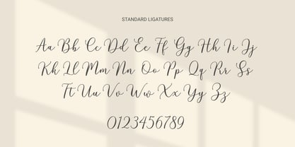 Sharapova Font Poster 4
