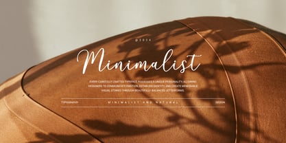 Sharapova Font Poster 3