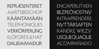 Shàngó Sans Font Poster 8