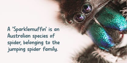 Sparklemuffin Pro Font Poster 2