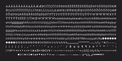 Guirnalda Font Poster 10