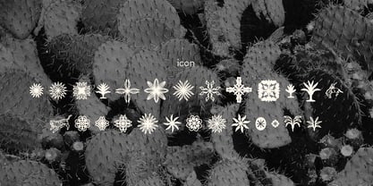 Tenquira Font Poster 6