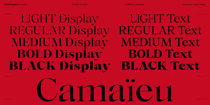 Ater Display Variable Font Poster 7