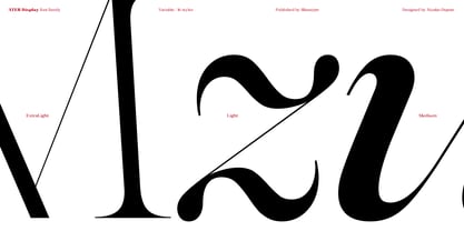 Ater Display Variable Font Poster 8