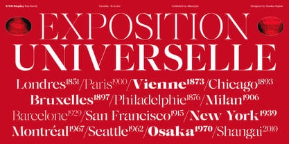 Ater Display Variable Font Poster 10