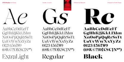 Ater Display Variable Font Poster 5