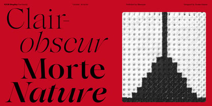 Ater Display Variable Font Poster 2