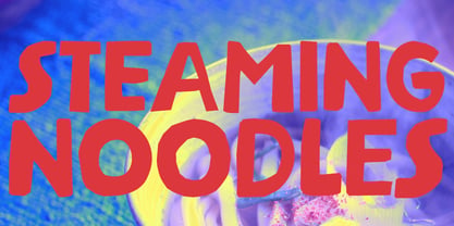 Steaming Noodles Pro Font Poster 1