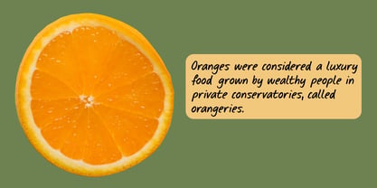 Seville Orange Pro Font Poster 4