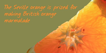 Seville Orange Pro Font Poster 2