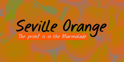 Seville Orange Pro Font Poster 1