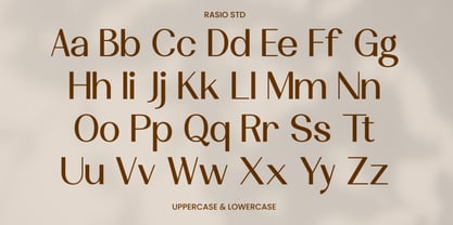 Velamer Font Poster 2