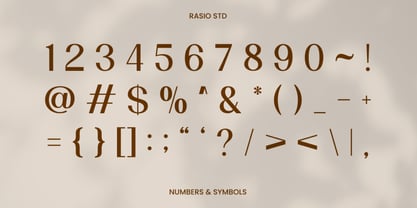 Velamer Font Poster 3