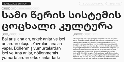 TT Commons Pro Georgian Font Poster 8