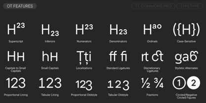 TT Commons Pro Georgian Font Poster 12