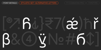 TT Commons Pro Georgian Font Poster 15