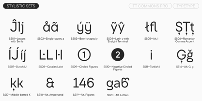 TT Commons Pro Georgian Font Poster 14