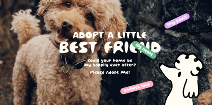 Bobbily Font Poster 5