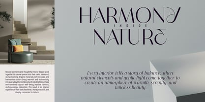 Naura Font Poster 7