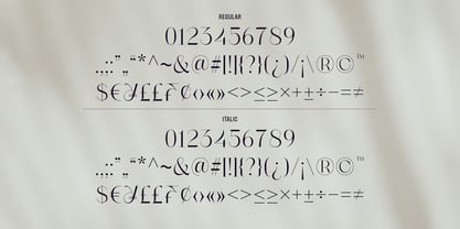 Naura Font Poster 11